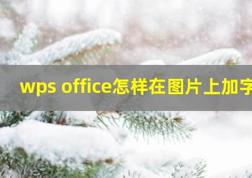 wps office怎样在图片上加字